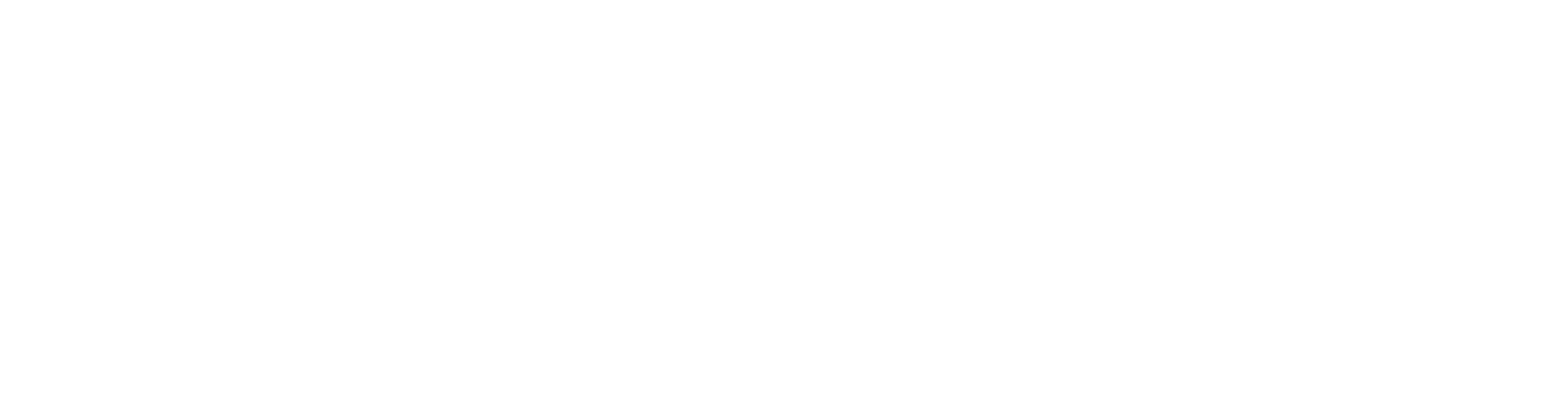 ZPG Logo - white